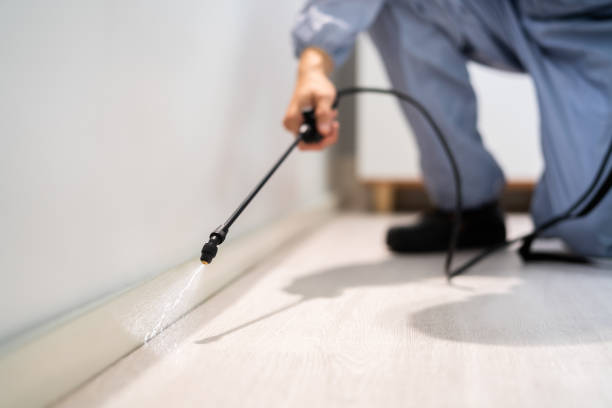 Licensed Wasp Removal service in Bixby, OK - Show Me Pest Control