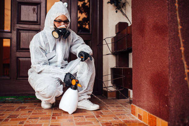 Reliable Wasp Removal contractor in Bixby, OK by Show Me Pest Control