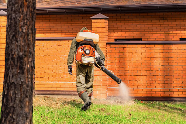 Top rated local Wasp Removal specialists in Bixby, OK
